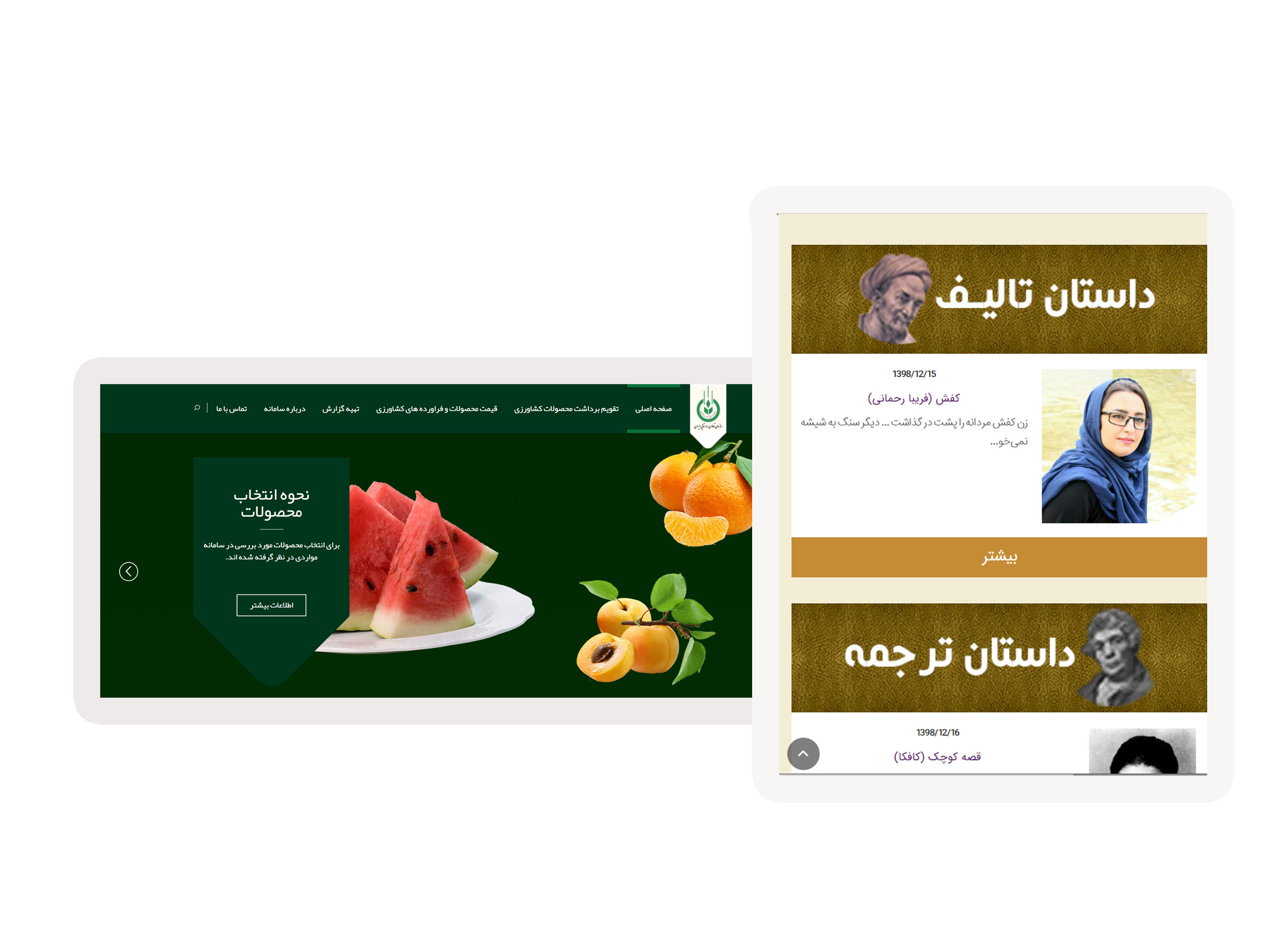 Majid Pirhayati Roozbahani web programming portfolio